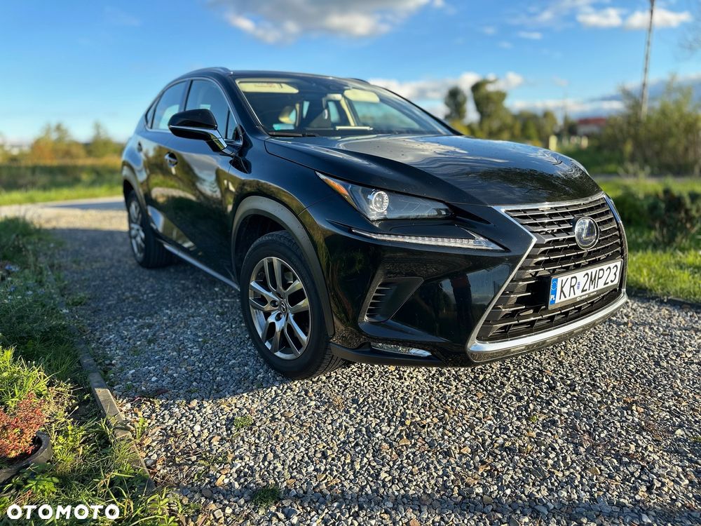Lexus NX 300h Elegance Optimum AWD - 3