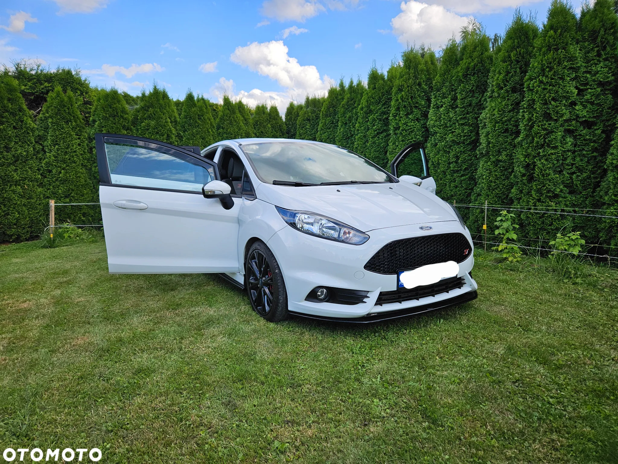 Ford Fiesta 1.6 EcoBoost ST - 2