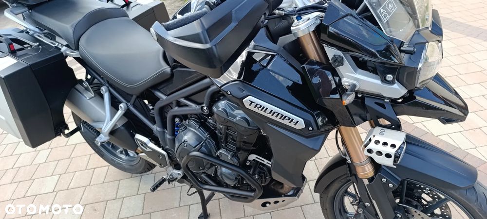 Triumph Tiger - 20