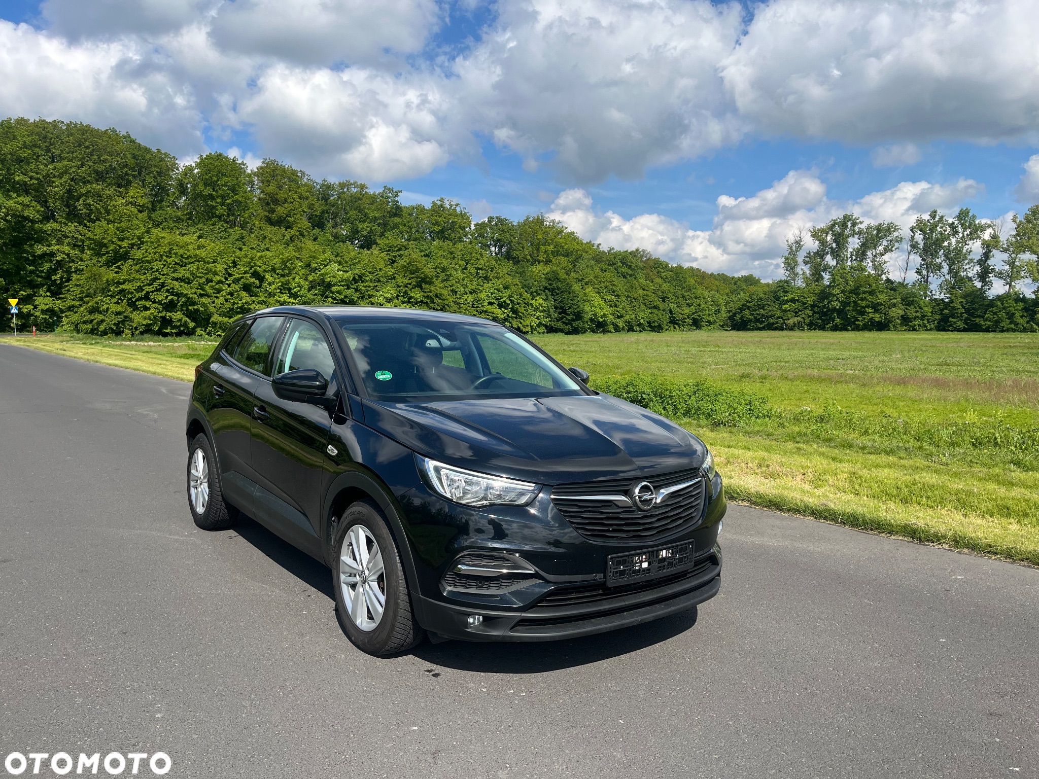 Opel Grandland X - 1