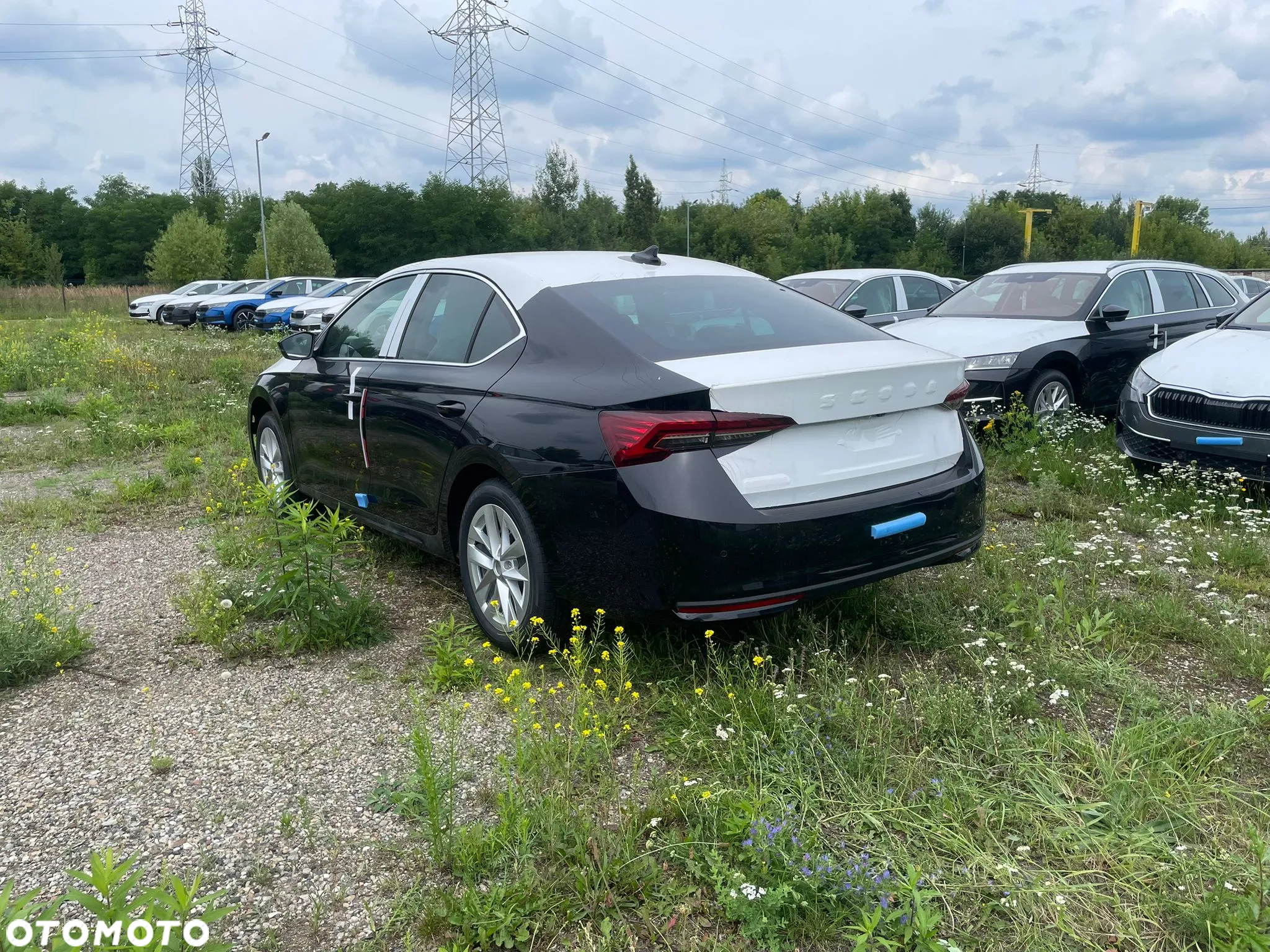 Skoda Octavia - 3