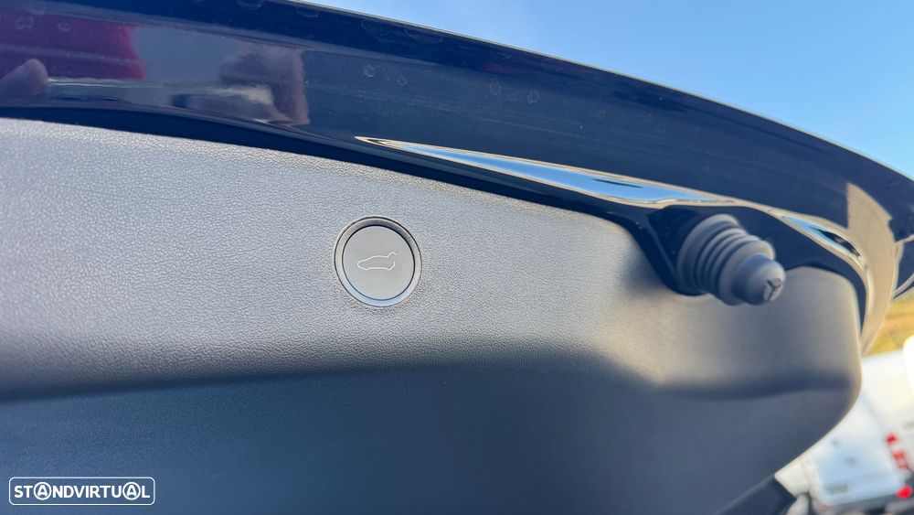 Tesla Model 3 Long Range Tração Integral Premium - 25
