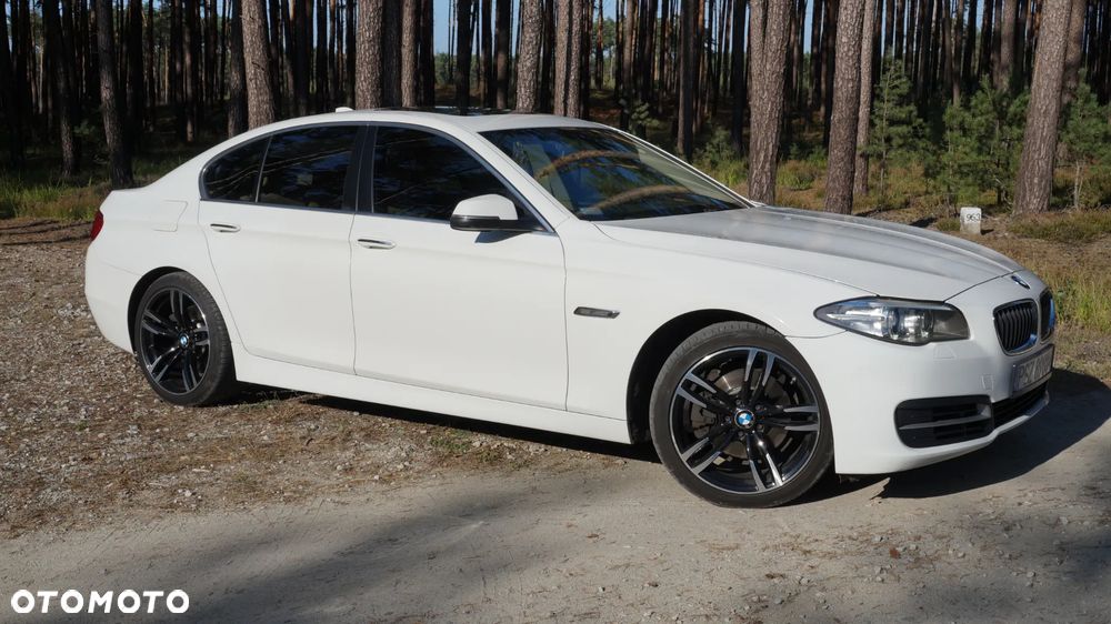 BMW Seria 5 528i Luxury Line - 2