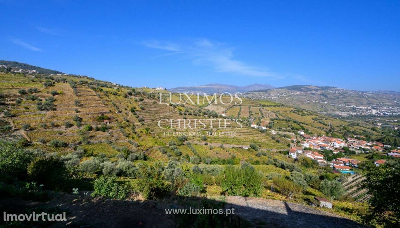 Quinta Vinícola à venda no Douro Valley em Cambres, Lamego - Grande imagem: 2/38