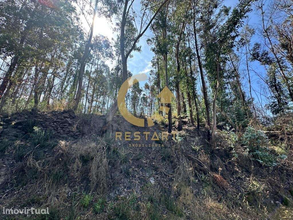 Terreno Rústico para venda em Vila Boa do Bispo, Marco de Canaveses - Grande imagem: 2/29