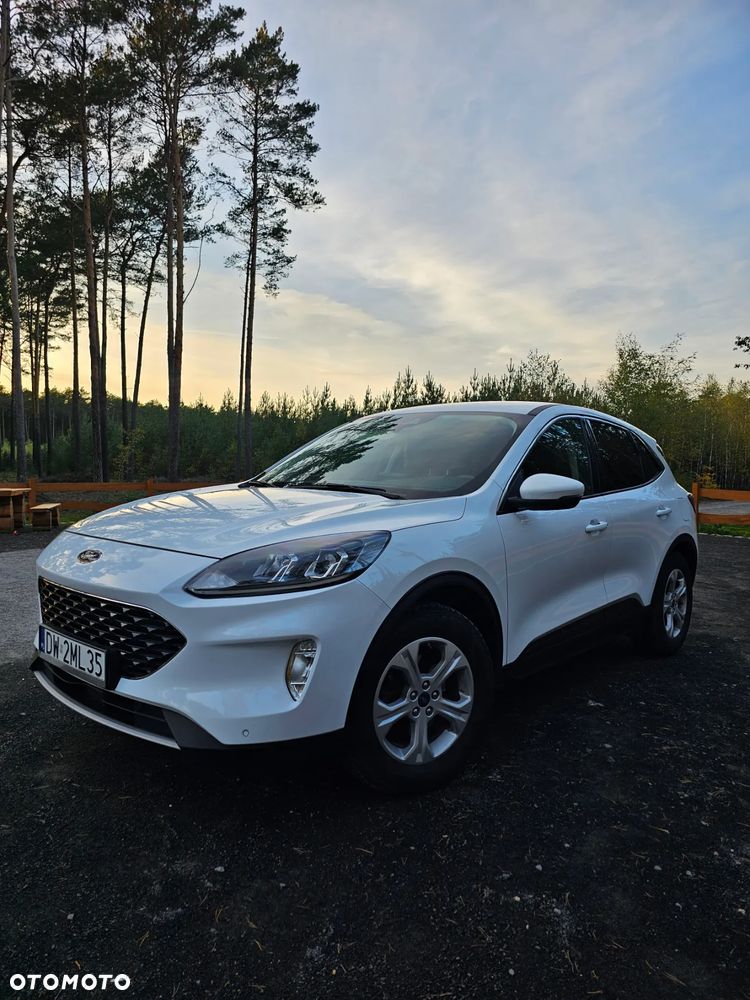 Ford Kuga 1.5 EcoBoost FWD Trend - 7