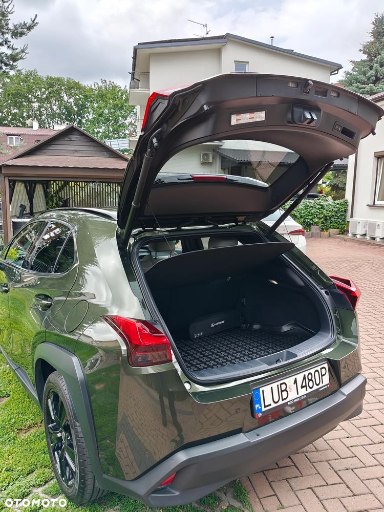 Lexus UX - 8