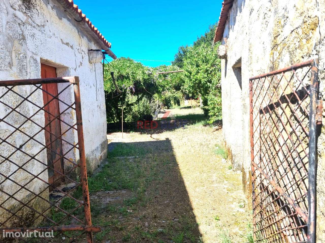 PROPRIEDADE RURAL, VIDAGO - Grande imagem: 3/17