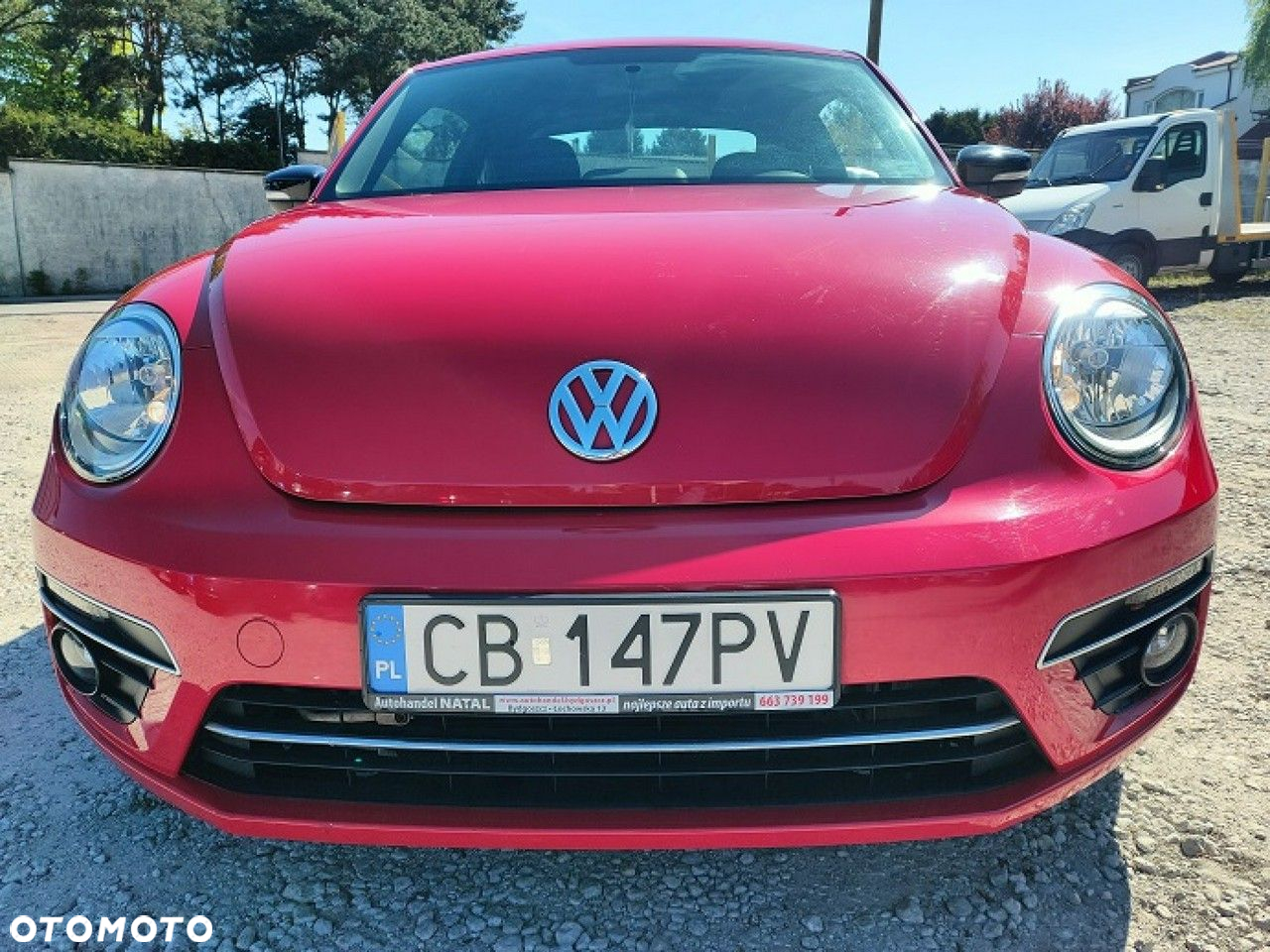 Volkswagen Beetle - 6