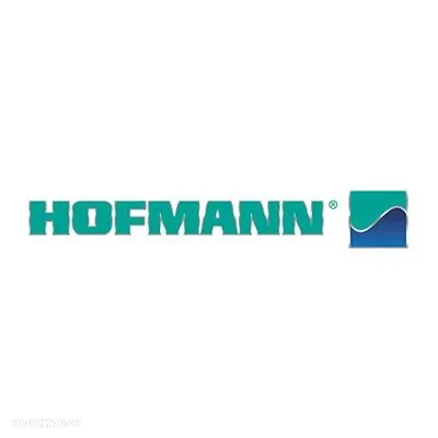 Hofmann DUOLIFT® MTF 3000-2 - Podnośnik Samochodowy z Montażem i dostawą - 3