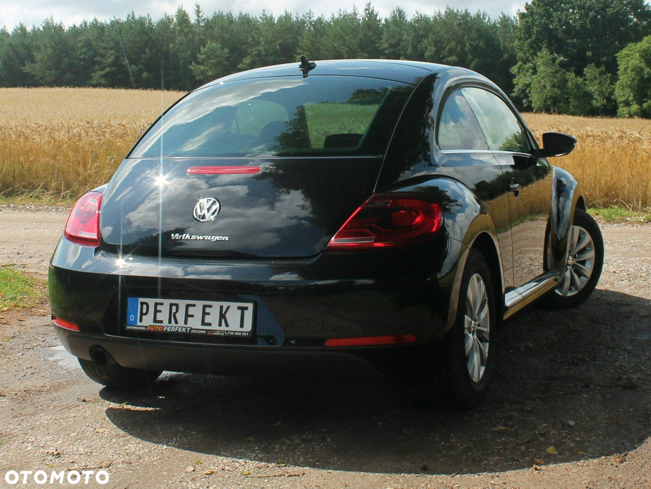 Volkswagen Beetle - 12