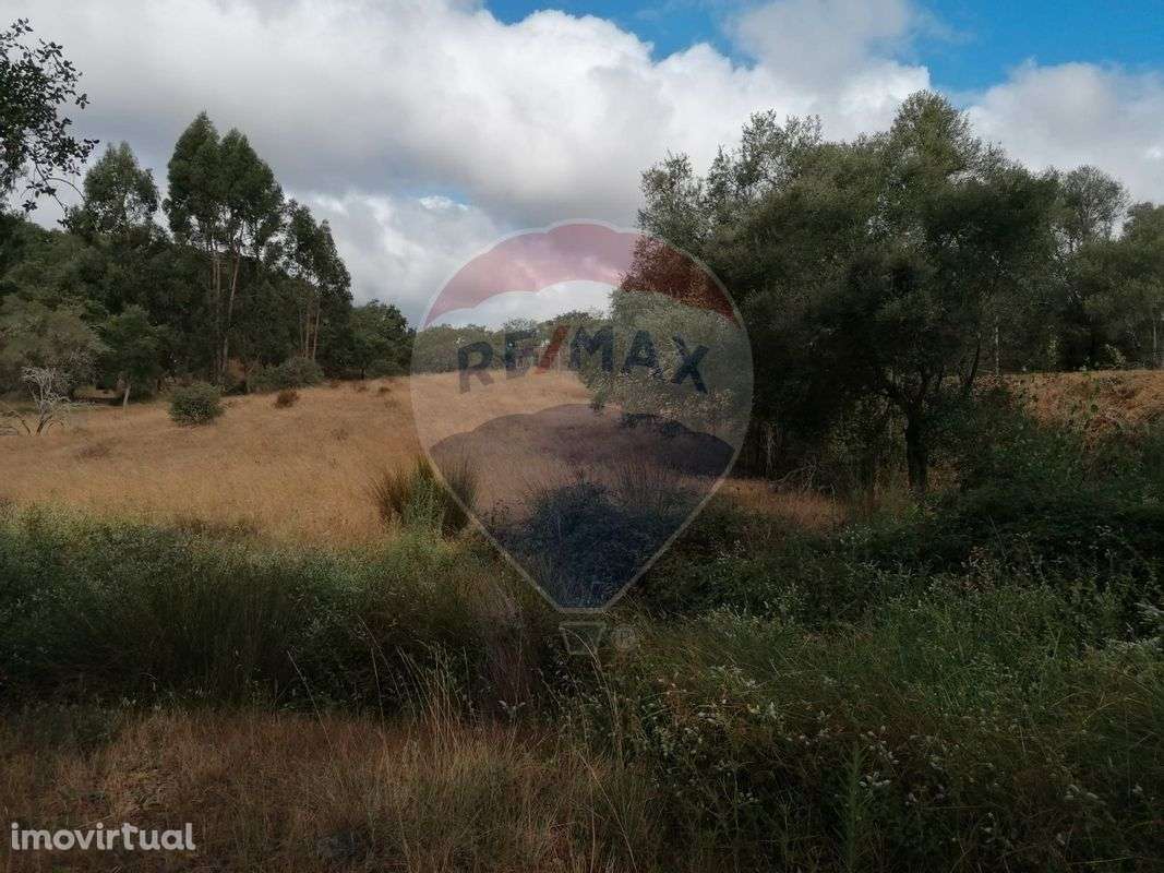 Quinta  para venda - Grande imagem: 3/21