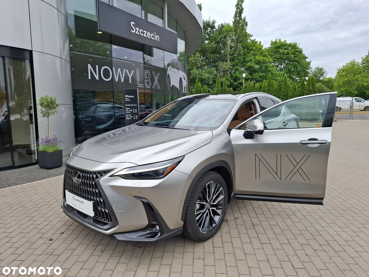 Lexus NX - 9