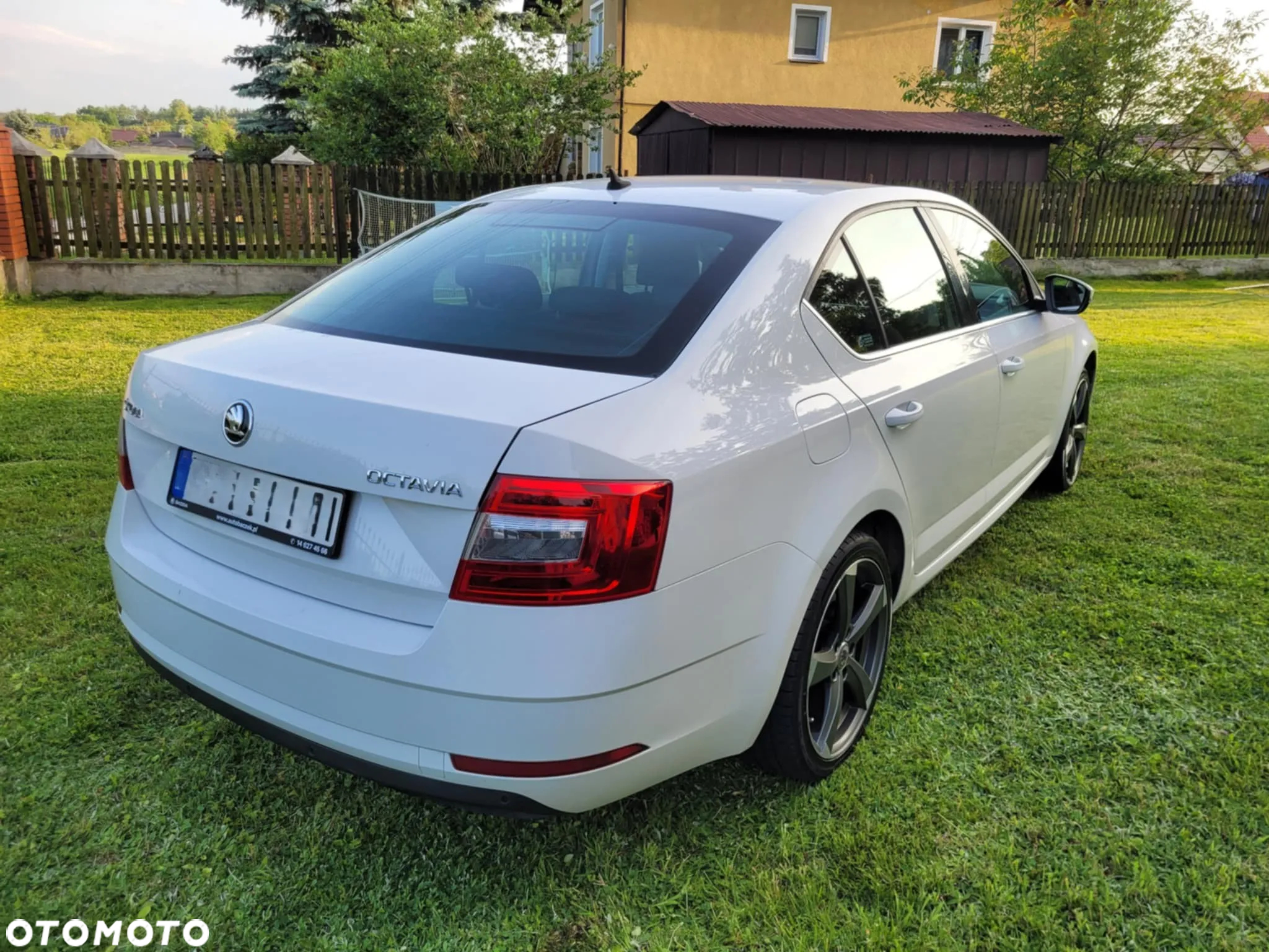 Skoda Octavia - 7
