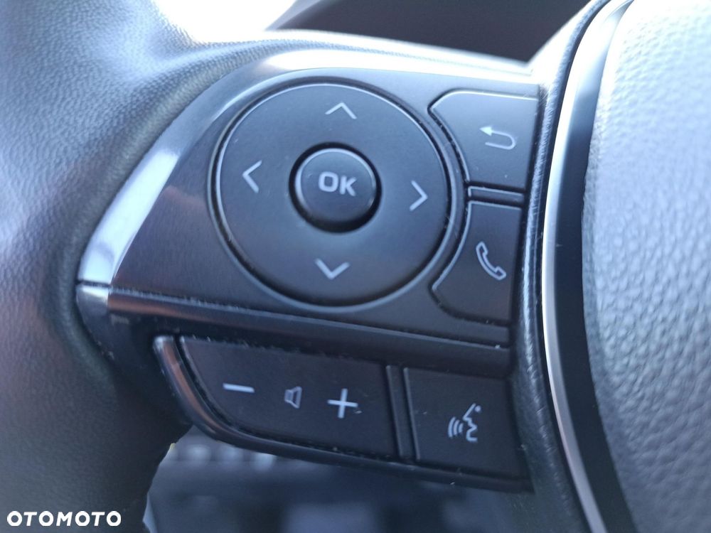 Toyota RAV4 2.5 Hybrid Executive 4x2 - 19