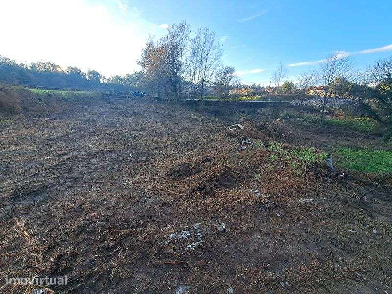 Terreno em zona agrícola com 2600 m2 - Grande imagem: 4/5