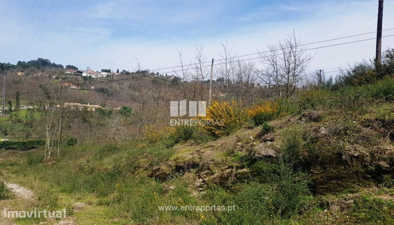 Venda Terreno, Constance, Marco de Canaveses - Grande imagem: 5/16