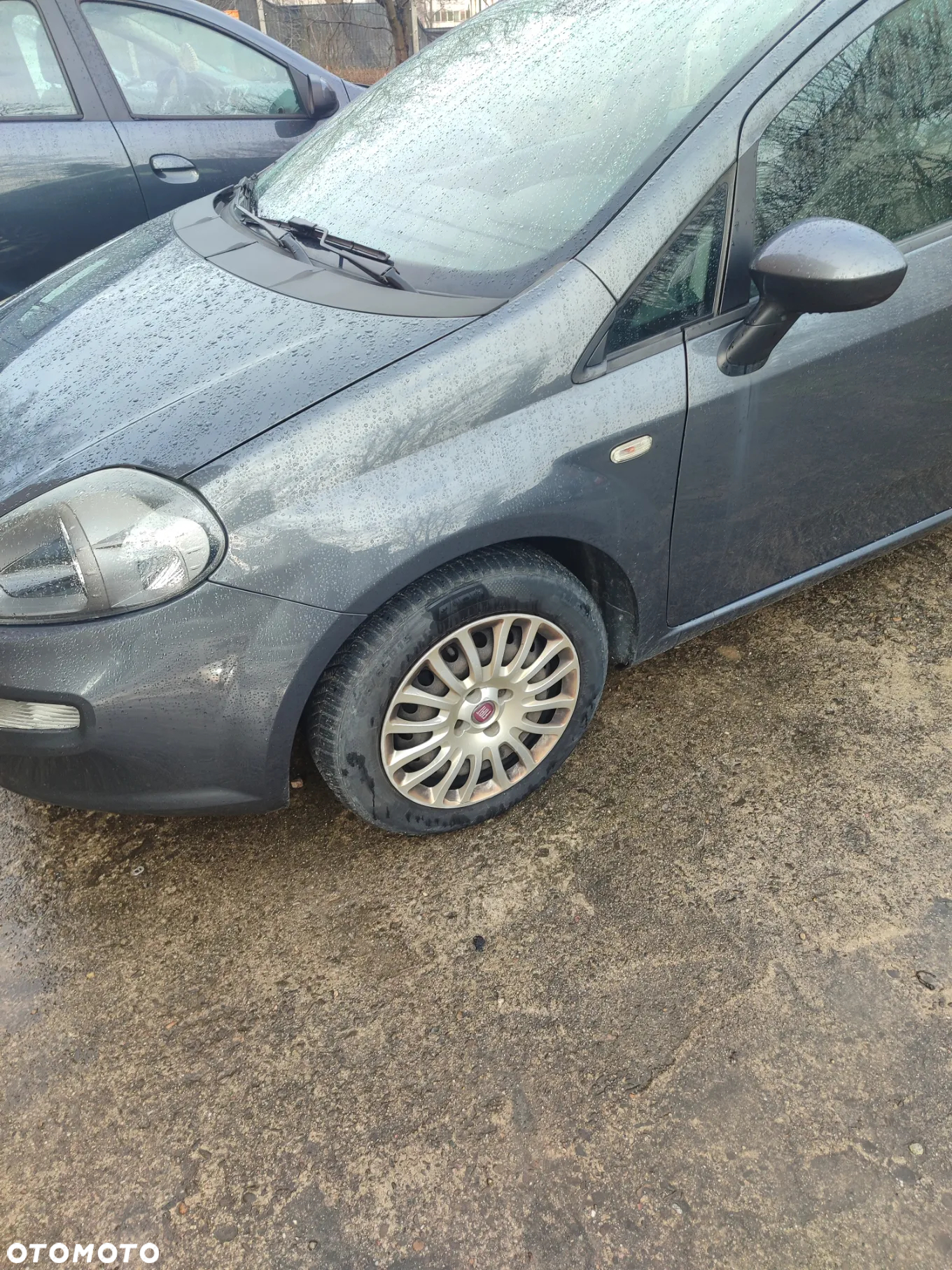 Fiat Punto - 5