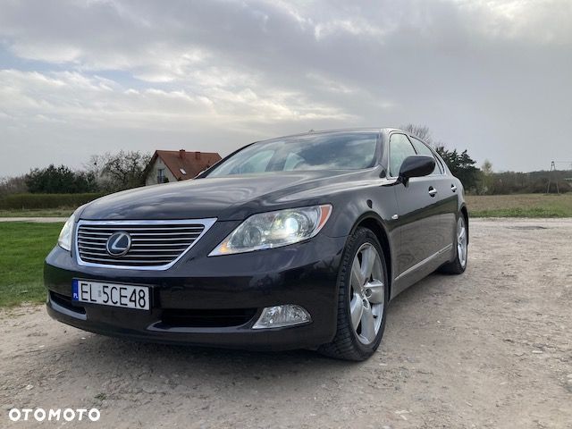 Lexus LS 460 Superior - 2