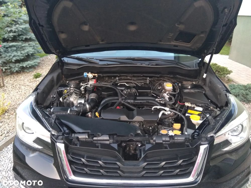 Subaru Forester - 6