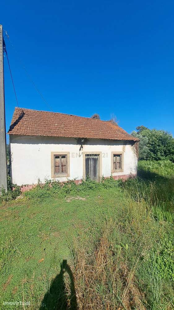 Quinta para venda perto de Dornes -Paio Mendes - Ferreira do Zezere - Grande imagem: 2/38