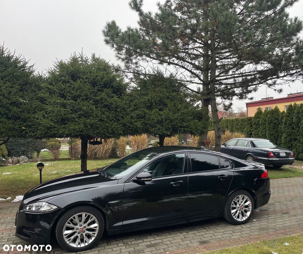 Jaguar XF 2.2 - 3