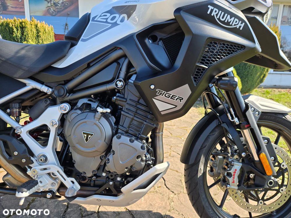 Triumph Tiger - 22