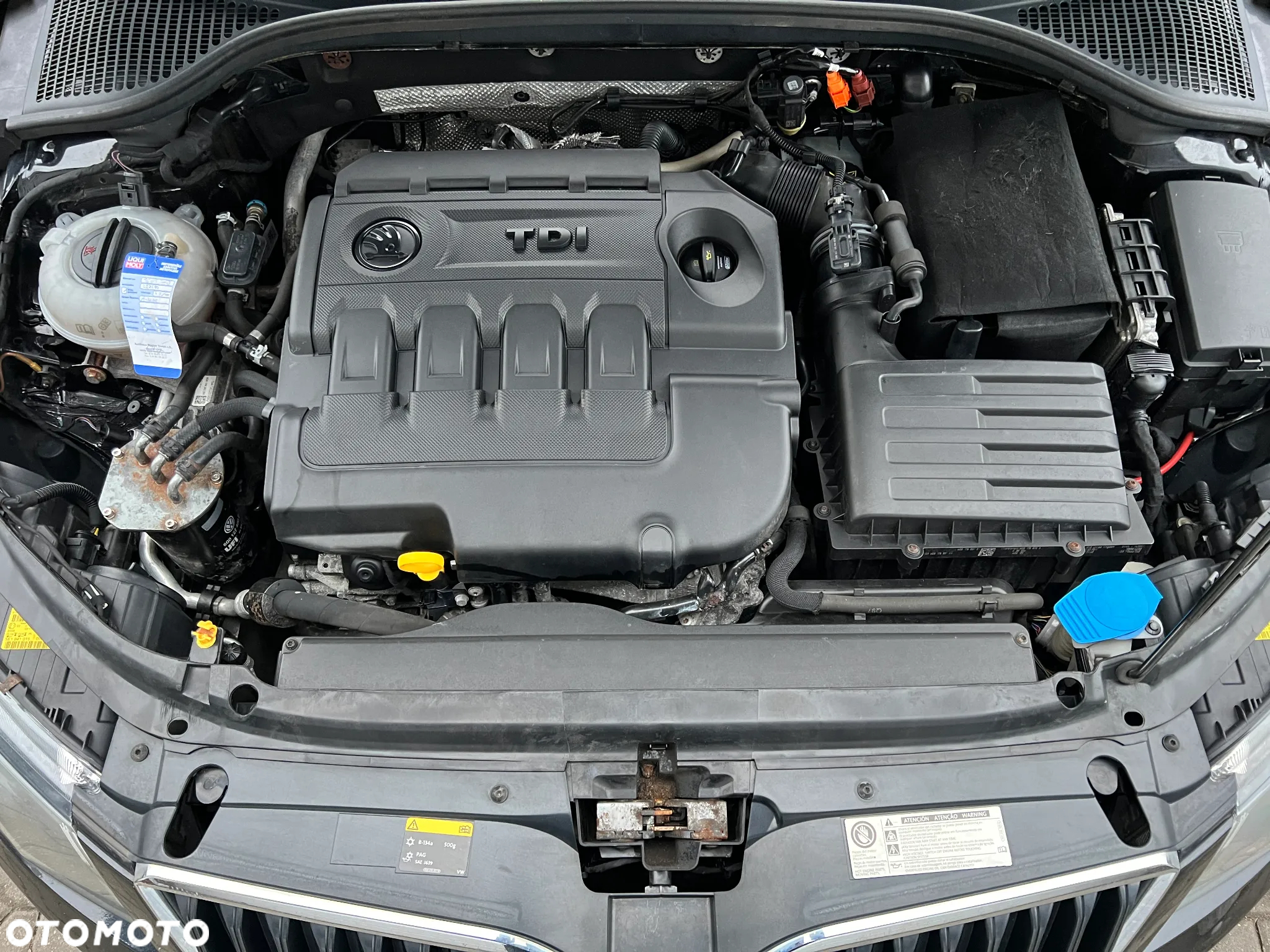 Skoda Octavia 1.6 TDI Family DSG - 19