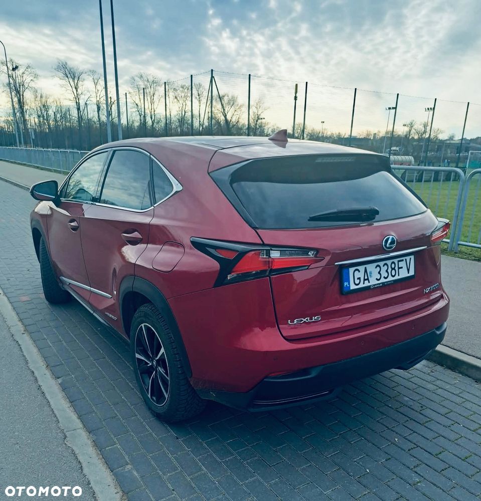 Lexus NX 300h Comfort AWD - 5