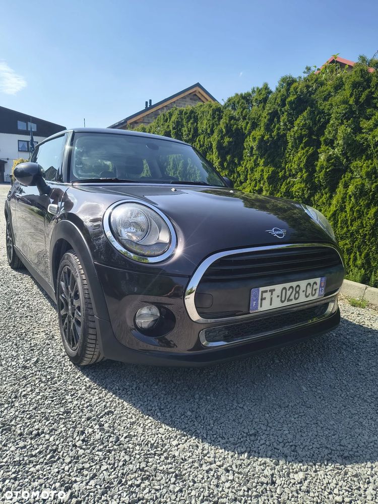 MINI ONE Blackyard - 1