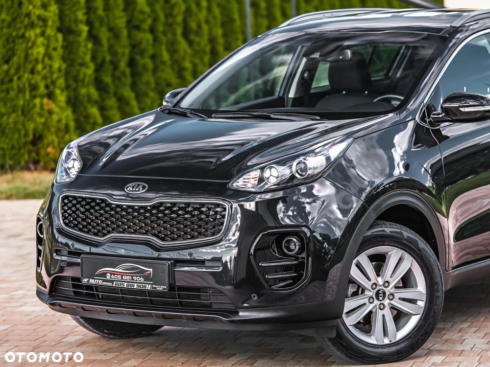 Kia Sportage 1.6 GDI L Business Line Plus 2WD - 31