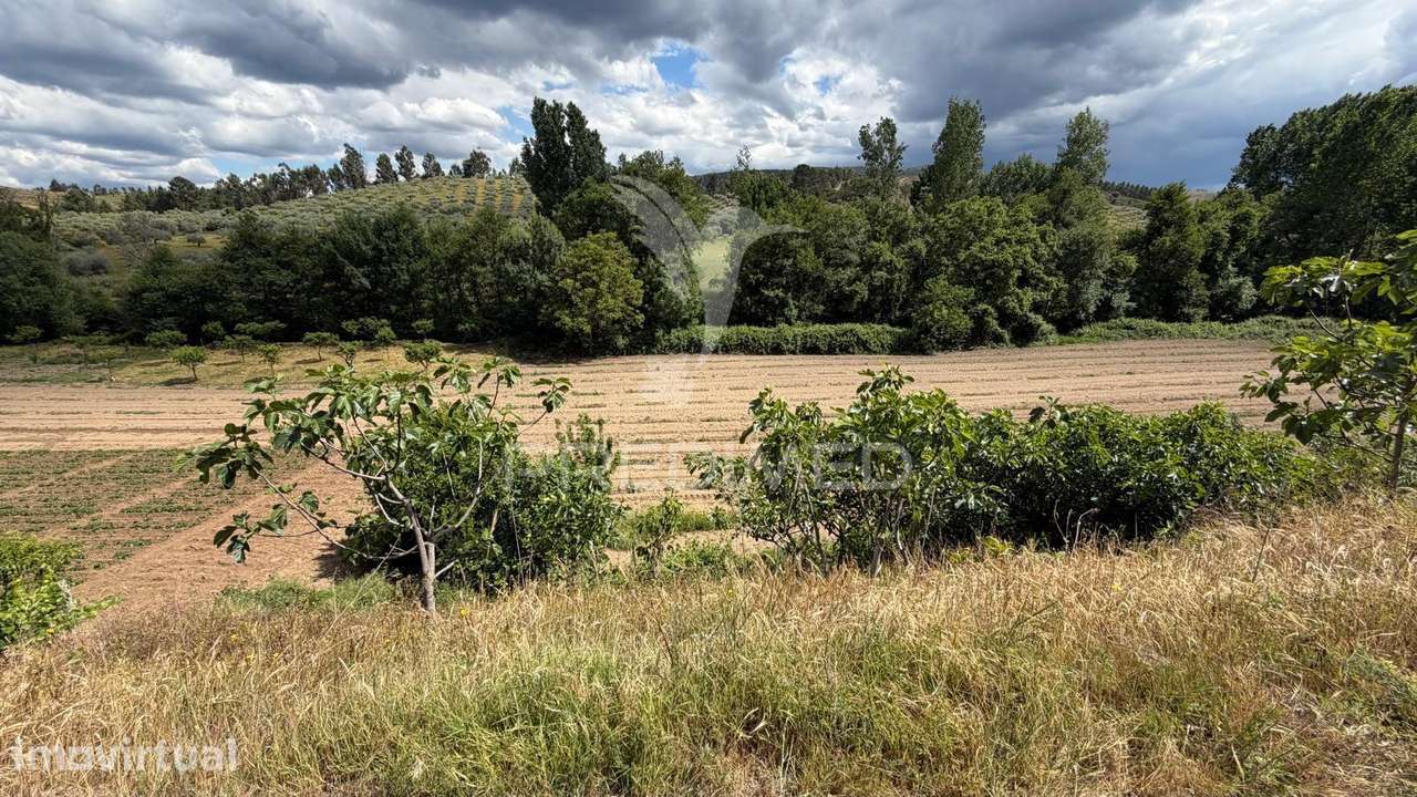 Terreno Rustico - Grande imagem: 2/3