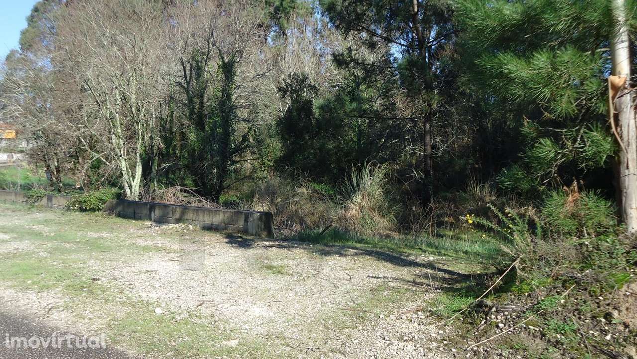 Terreno próximo de Aveiro - Grande imagem: 4/21
