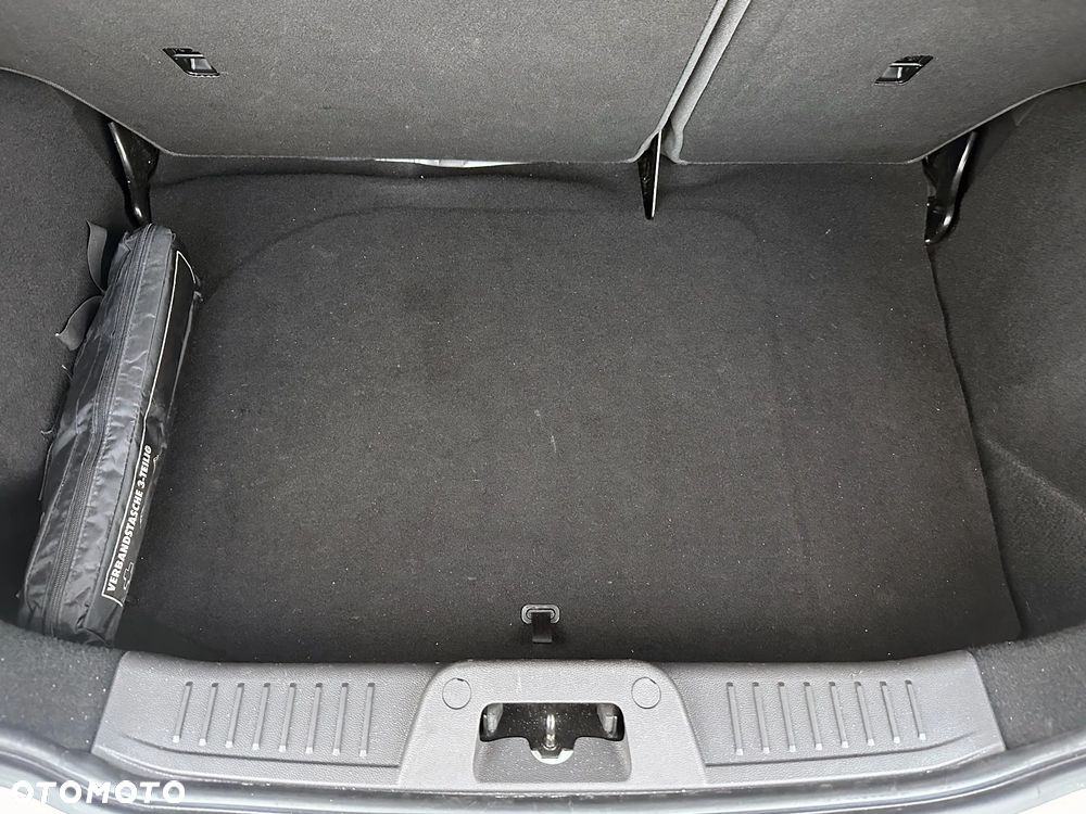 Ford Fiesta 1.6 EcoBoost ST - 29