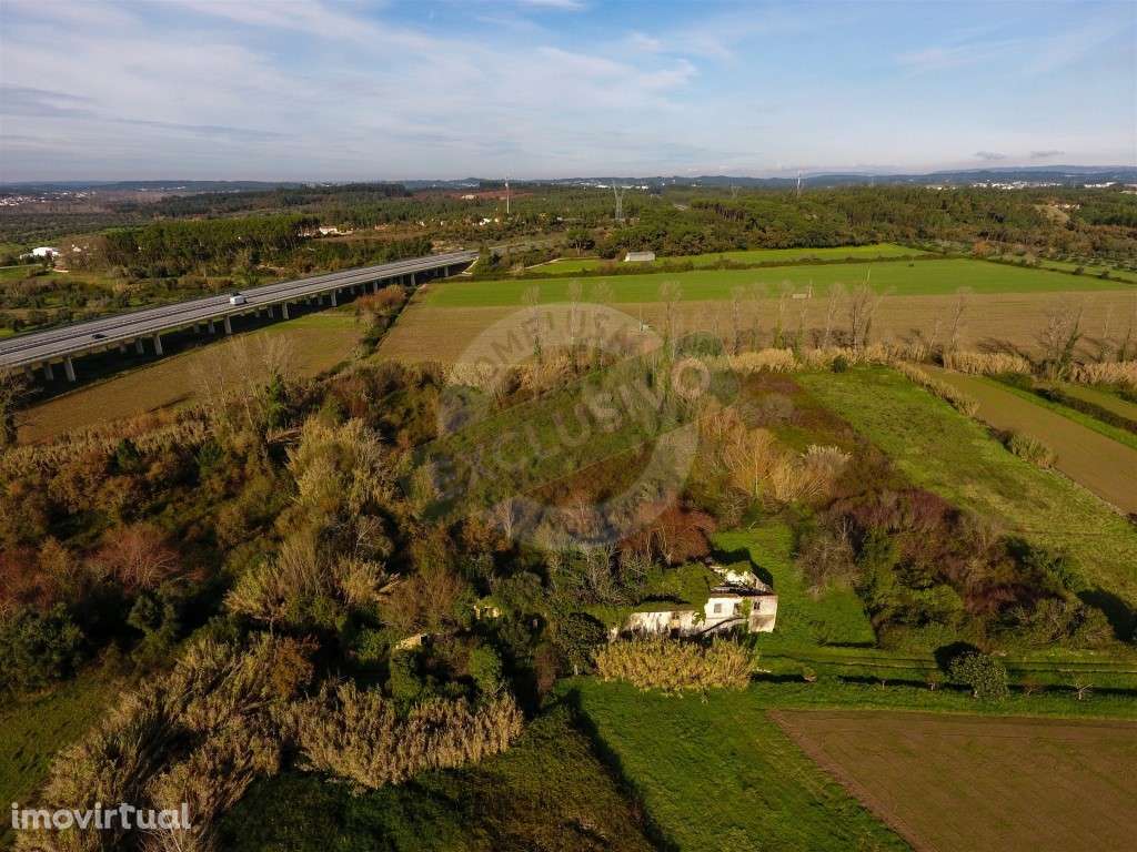 Quinta!! Perto de Coimbra! - Grande imagem: 4/21