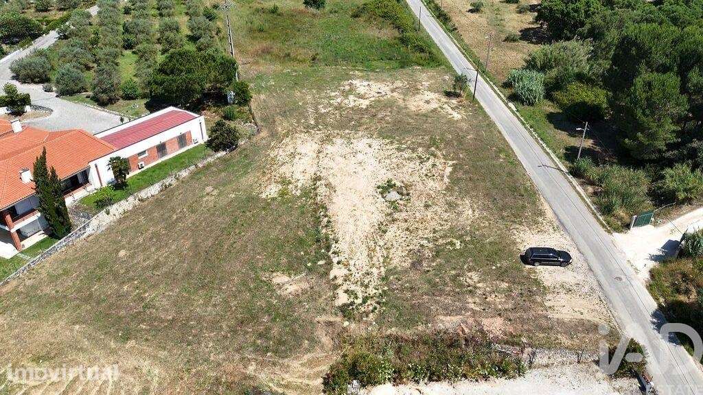 Terreno para construção em São João da Ribeira e Ribeira de São João - Grande imagem: 2/30