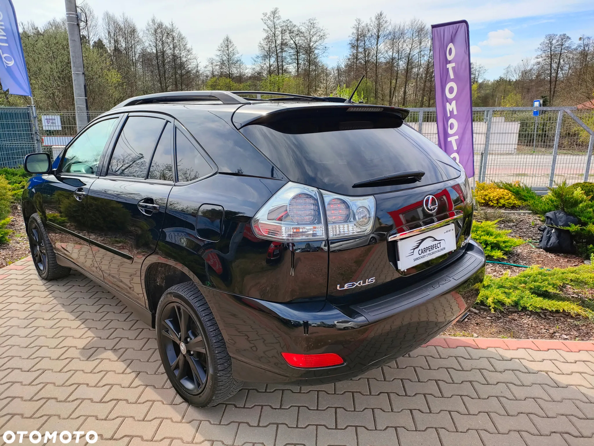 Lexus RX - 13