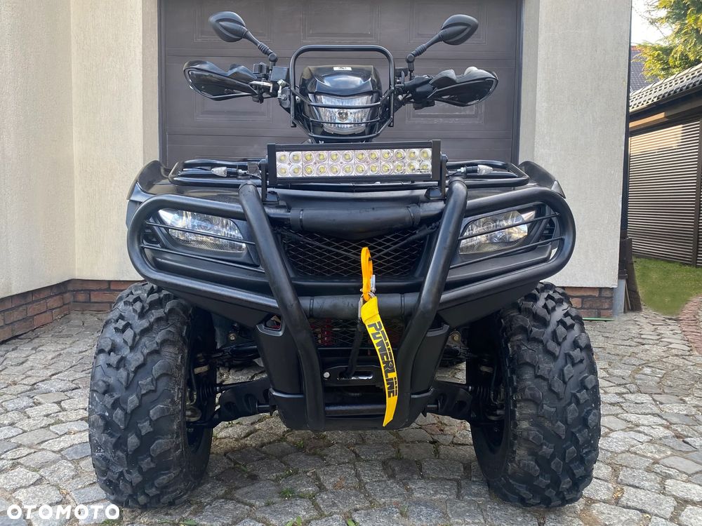 Suzuki Kingquad - 8