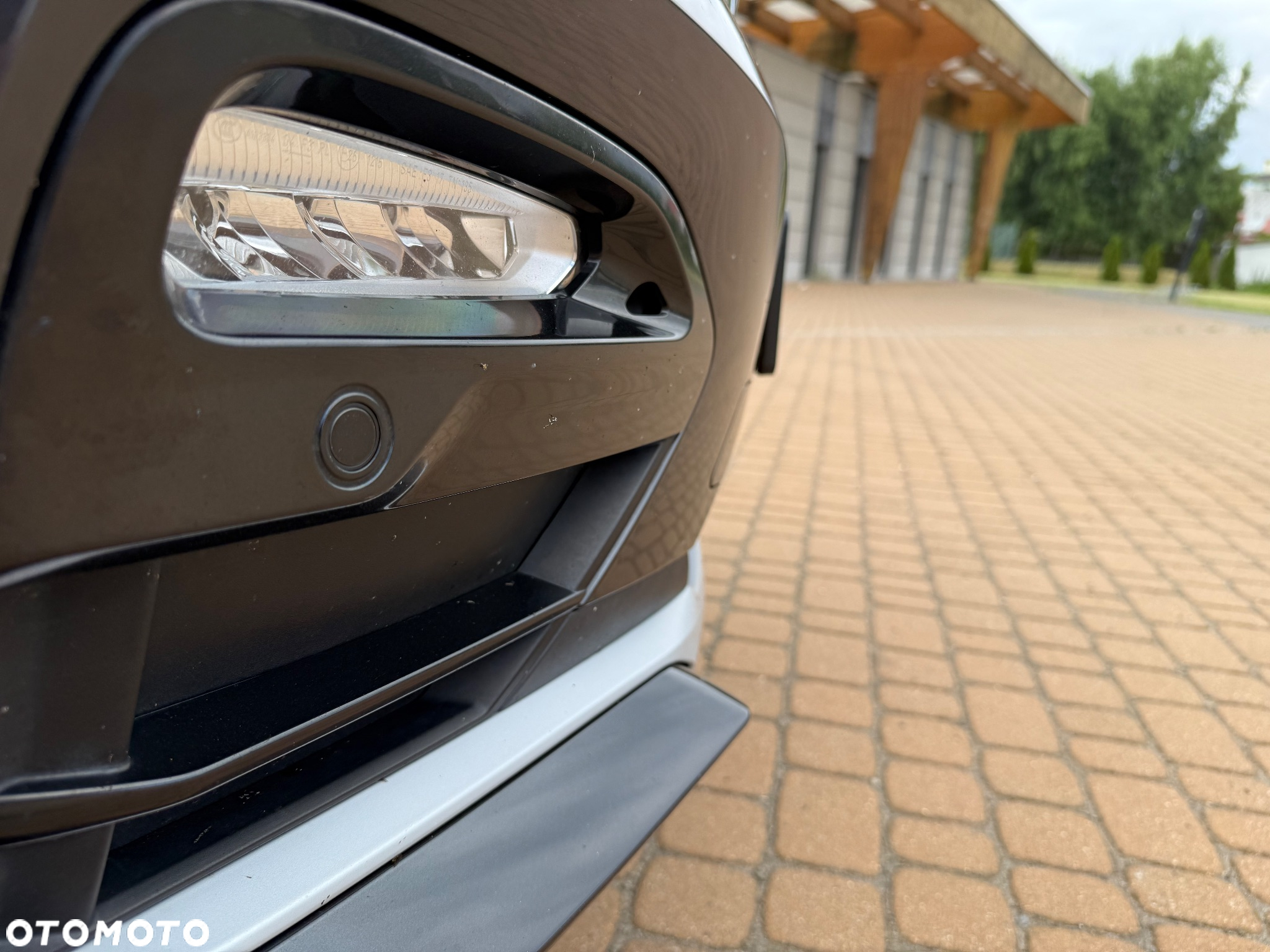 BMW X4 xDrive30i Advantage sport - 19