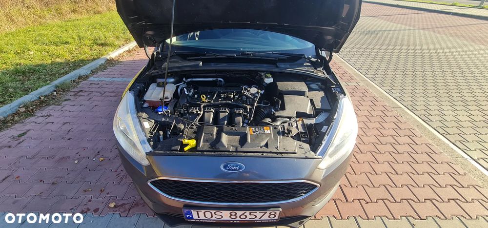 Ford Focus - 16