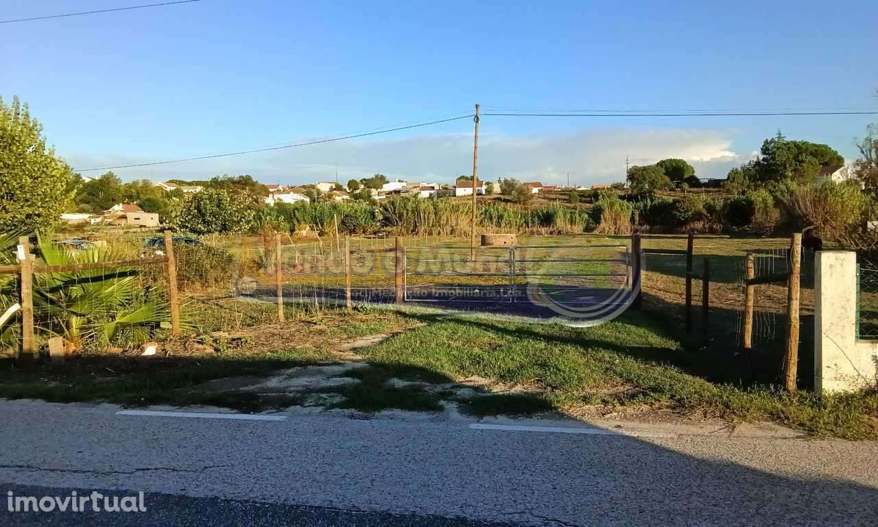 Terreno em Vale Mansos, Coruche (CRCH143) - Grande imagem: 4/4