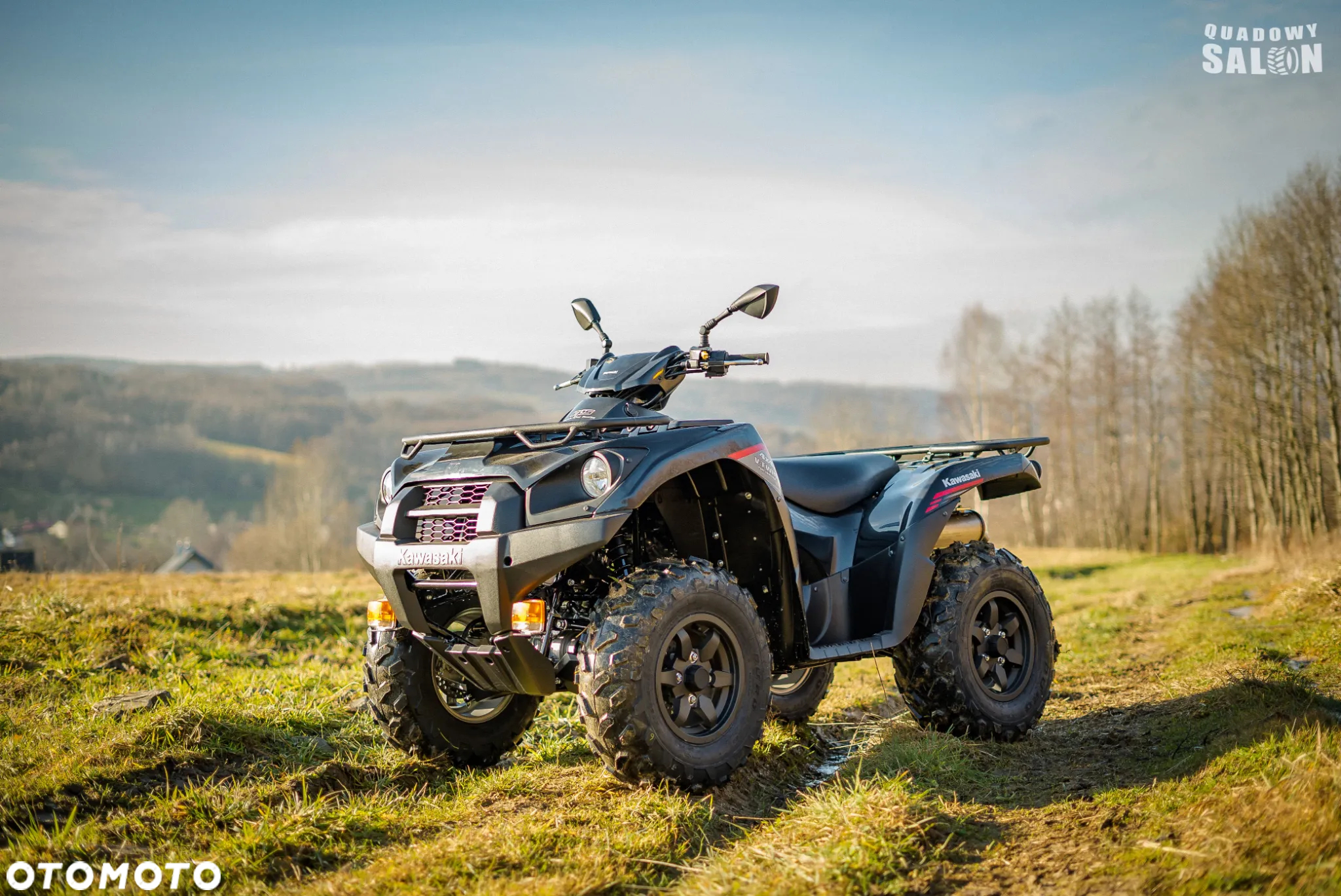 Kawasaki Brute Force - 2