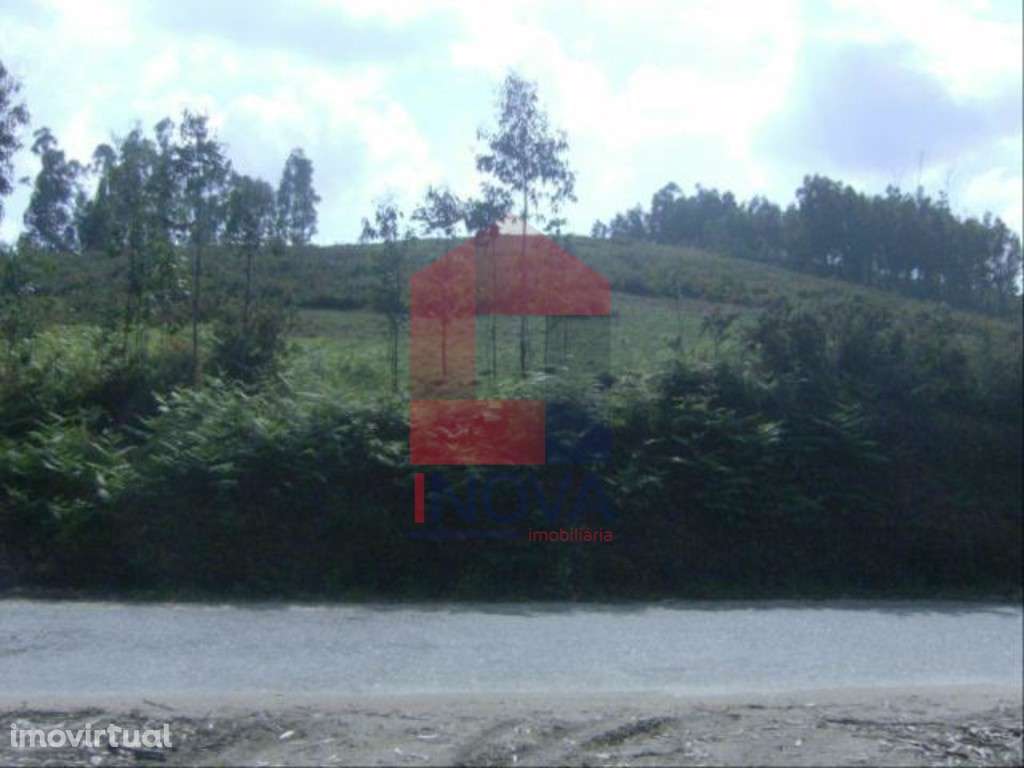 Terreno, Dossãos - Grande imagem: 3/3