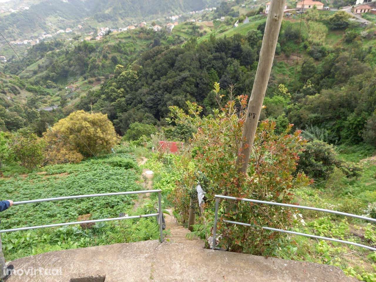 Terreno agrícola - Porto da Cruz - Machico - Grande imagem: 5/11