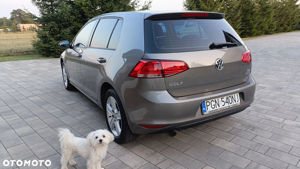 Volkswagen Golf 1.6 TDI BMT Highline - 10