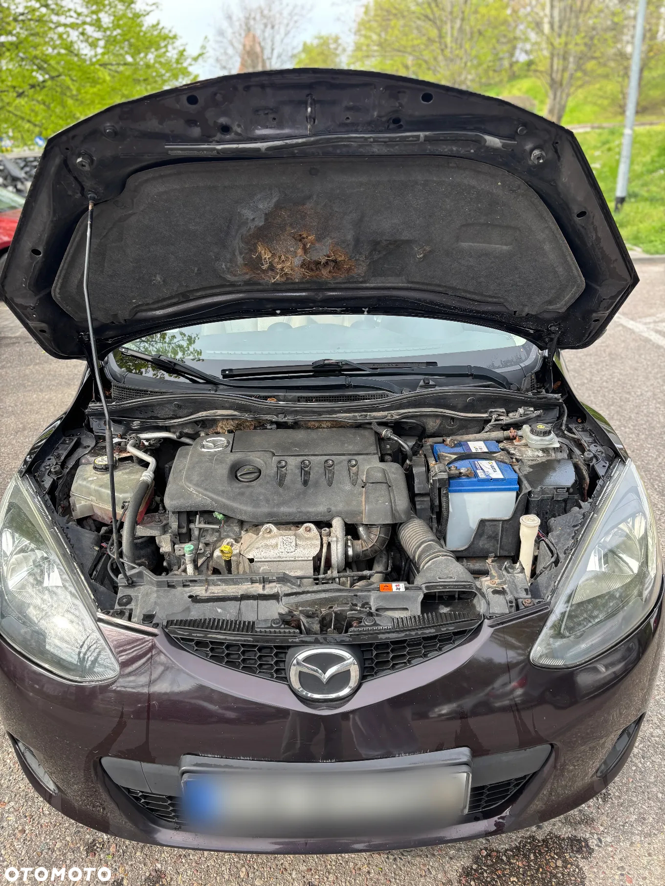 Mazda 2 1.4 CD Exclusive - 10