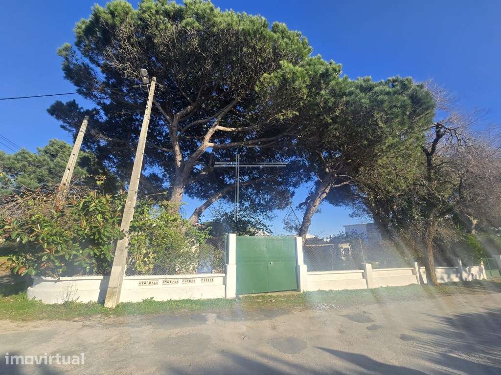 Terreno com 630m2 com vista mar - Capuchos - Grande imagem: 2/7