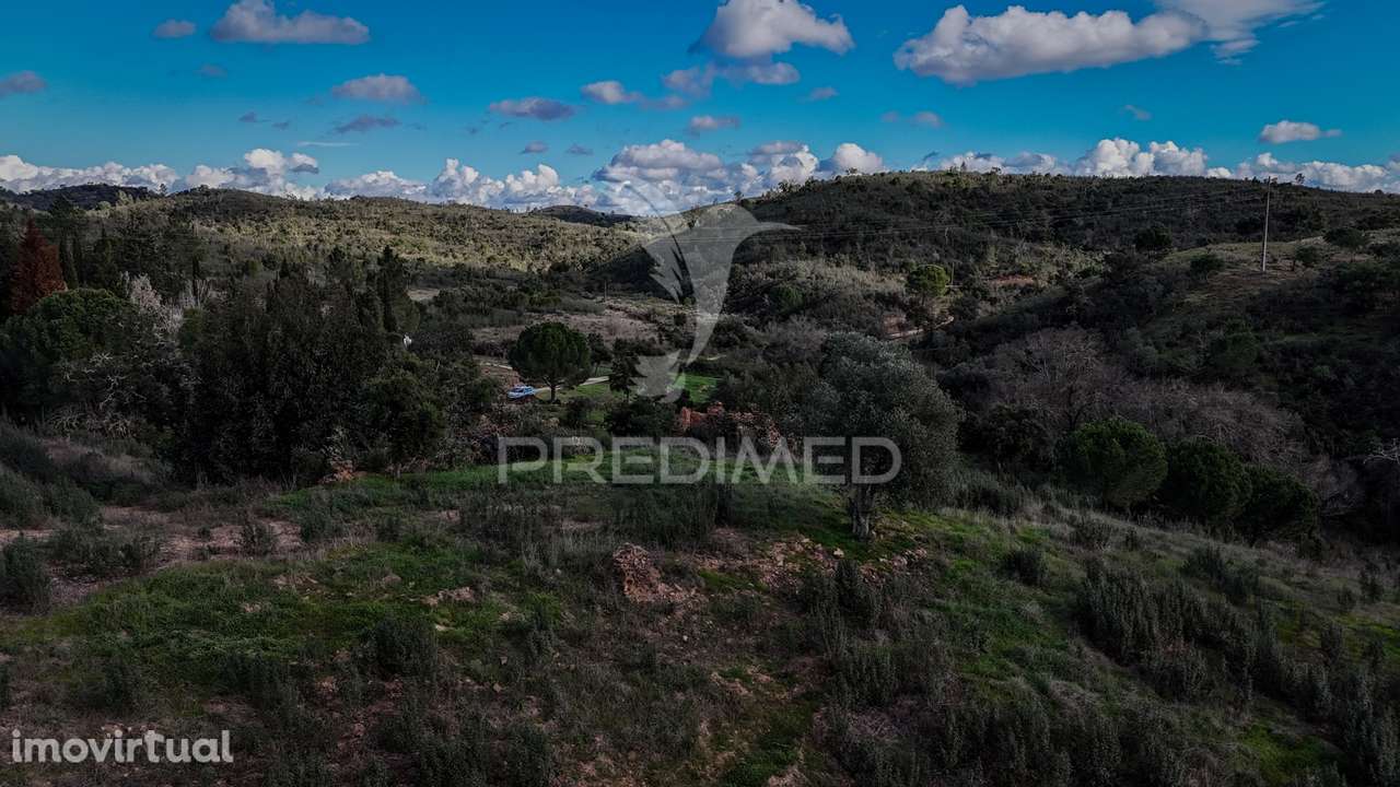 Quinta com projeto em aprovação - Grande imagem: 4/9