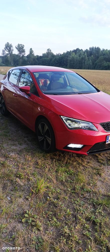 Seat Leon - 25