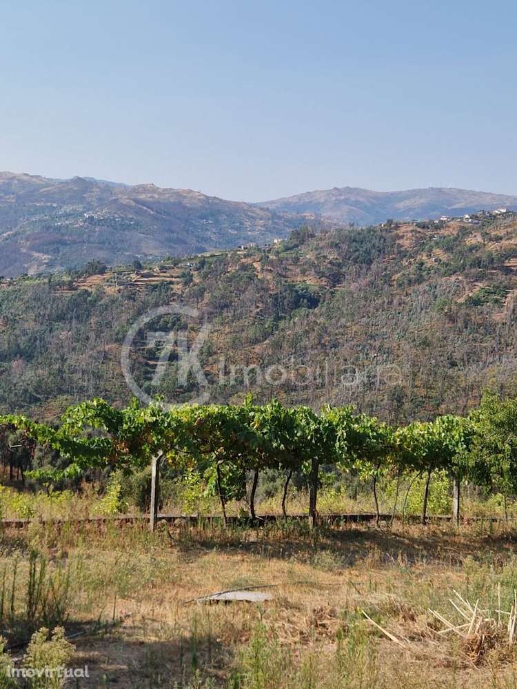 Terreno para Construção Gove, Baião - Grande imagem: 3/8